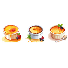 Sweet creme brulee from french cuisine in special dish food