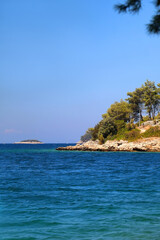 Fototapeta premium Lush plants on the small island in the Adriatic sea. 