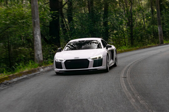 White Audi R8 cruising in a forest
