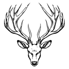 Black and White Illustration Vector of Majestic Deer