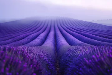 Crédence de cuisine en verre imprimé Violet Misty lavender fields. Surreal landscape. Background image. Created with Generative AI technology.