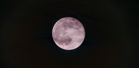 Pink full super moon on black sky background