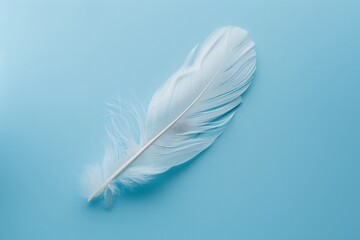 A delicate white feather peacefully rests on a soft blue background, embodying grace and tranquility.