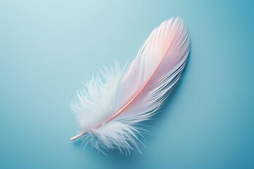 A delicate white feather gracefully settles on a serene blue canvas, creating a tranquil and dreamy atmosphere.