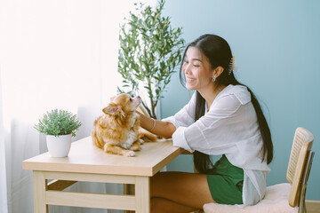 Portrait of beautiful Asian woman sitting on desk and talking with his adorable chihuahua dog in living room. New normal and Friendly Dog Concept