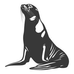 Silhouette Sea Lion Animal black color only full body