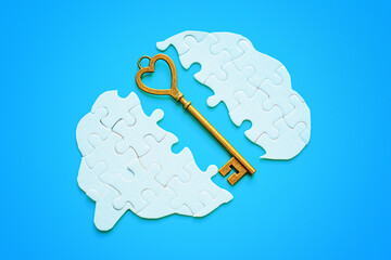 Unlocking Knowledge: Bronze Key between Divided Brain Puzzle