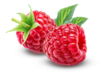 Two delicious raspberries with a leaf isolated on a white background.