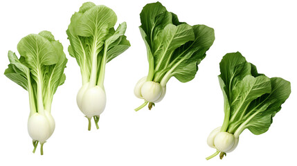 Bok Choy Collection: Fresh Asian Leafy Greens for Culinary Delights, Isolated on Transparent Background - Perfect for Farm-to-Table Concepts and Nutritious Recipes - obrazy, fototapety, plakaty