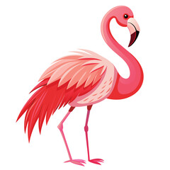 Illustration of flamingo