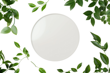 White round empty podium on a white background with green leaves around with space for product, top view.