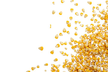 Top view of fresh corn kernels,Isolated on a transparent background.