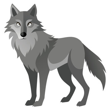 Illustration of a wolf