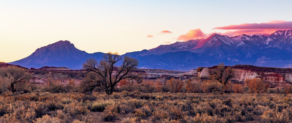 Desert Landscape with bush, trees, and mountains. Sunrise Sky. Utah, USA