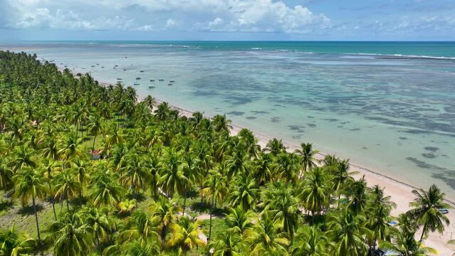Patacho Beach At Sao Miguel Dos Milagres Alagoas Brazil. Aerial Beach Beaches. Beach Sky Shore Sea. Shore Outside Shore City Panorama. Shore Sea Ocean Bay Water. Sao Miguel dos Milagres Alagoas.