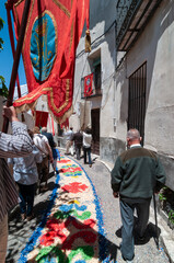 Fototapeta na wymiar Fiesta tradicional del alfombrado de calles en la procesión del Corpus Christy de Almonacid de Zorita, Guadalajara, España.
