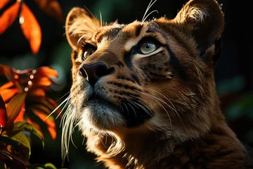 Gordijnen Puma in the tropical rainforest, observing his prey., generative IA © JONATAS