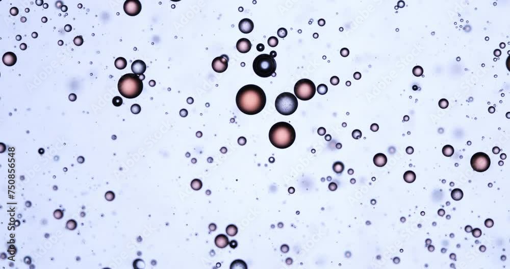Wall mural slow motion macro of floating micro particles molecules in liquid are analyzed with microscope by ch