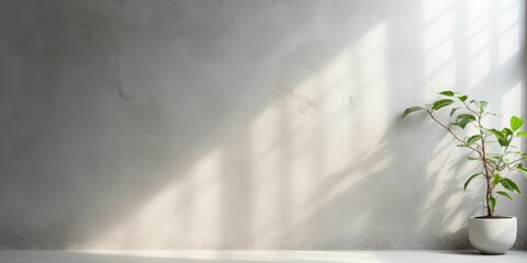 Minimal abstract background for product presentation, Shadow and light from windows on plaster wall
