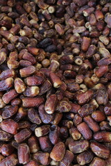 Dried and wet Medina date varieties