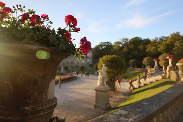 Fototapete bei efototapeten.de bestellen   