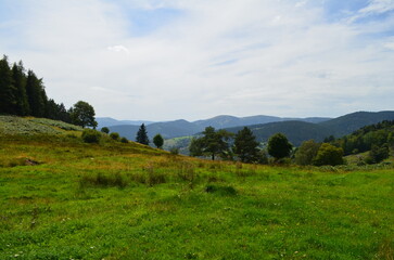 Naklejka premium Col du Wettstein (Haut-Rhin - Grand-Est - France)