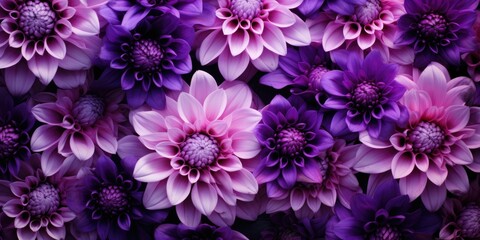  Beautiful collage background of purple flowers - Powered by Adobe
