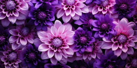 Plexiglas foto achterwand  Beautiful collage background of purple flowers © Creative Canvas