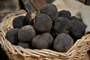 An enchanting sight of a woven basket filled with exquisite black truffle mushrooms, radiating an irresistible earthy aroma and culinary allure.