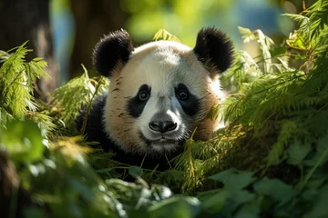 Fotobehang Magazine Cover Panda in the bamboo forest., generative IA © JONATAS