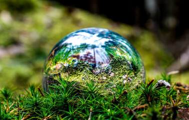 crystal ball on a tree stump.