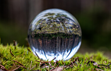 crystal ball on a tree stump.