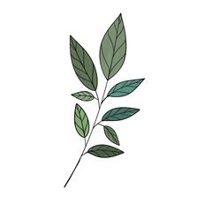 Botanical art with different types of leaves
