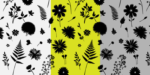Flowers on a transparent background with a seamless floral pattern that can be edited for color. To match any design palette. floral seamless pattern, wildflowers silhouette
