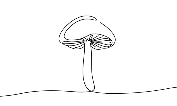 Vector image of a mushroom drawn with one line.