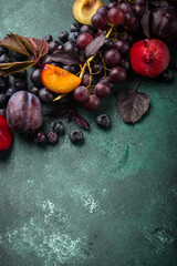 Assortment of purple fruit plum, grape, blueberry and basil