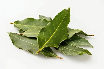 Obraz premium Bay Leaves on white background, macro.