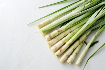 Fototapeta premium Lemongrass sage leafs on white background, macro.