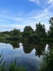 reflection of trees in the lake