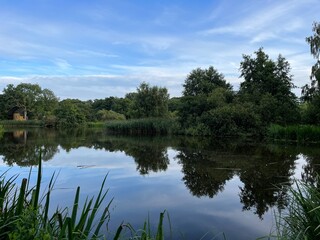 reflection of trees in the lake