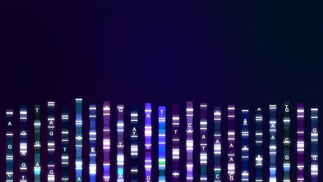 Visualization of a genome map sequence - DNA sequencing to determine the nucleotide sequence