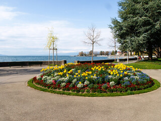 Lausanne, lakefront with flowers - 750883315
