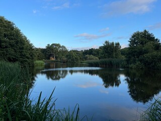 reflection of trees in the lake