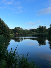 reflection of trees in the lake