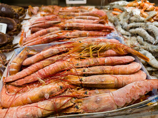 Seafood Selection: Fresh Prawns on Ice