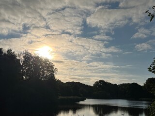 Obraz premium lake in the forest