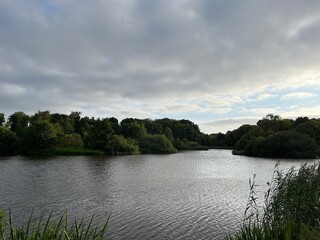 Fototapeta premium lake in the forest
