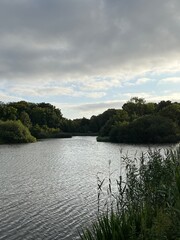 lake in the forest