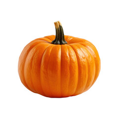 Mini Pumpkin isolated on transparent background