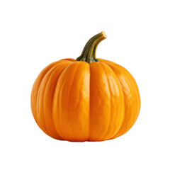 Mini Pumpkin isolated on transparent background